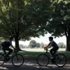 В Гамбурге мужчина пытался напасть на 8-летнюю девочку на велодорожке: Полиция ведет поиск