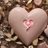 Сердце умершей матери из Германии спасло жизнь: семью из четырех детей выселяют из дома