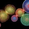 Ученые выяснили, почему кровеносные сосуды стареют быстрее других органов: первые изменения видны уже в 30 лет