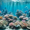 Океанариум SEA LIFE: Погружение в удивительный мир морских глубин