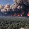 Масштабные лесные пожары охватили турецкий регион Бурса: люди бегут от огня