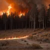 Масштабный лесной пожар под Дрезденом: Сотня пожарных борется с огнем в условиях засухи и жары