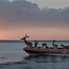 Полиция Ростока спасла истощенную косулю из портовой гавани