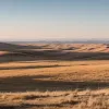 "Я та Анита, которая всех заставляет потеть": Как жительница Мюнхена стала "крестной матерью" аномальной жары