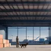 Таможенная собака Кейт обнаружила наркотики на €600 000 в аэропорту Кельна