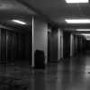 Убийство в немецком офисе: Сотрудник зарезал коллегу, которую целенаправленно выбрал жертвой