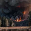 Крупный лесной пожар в Германии: горит 600 гектаров леса, огонь угрожает биогазовой установке и населению