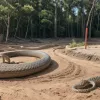 Строительство двух супермаркетов в Германии остановлено из-за размножающихся змей