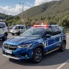 В Германии задержан 27-летний мошенник, осужденный на длительный срок