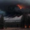 Лесной пожар в Саксонии: Огонь продолжает бушевать в районе Мейсена