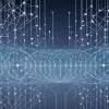 Предприниматель Тийен Онаран: Как люди из рабочих семей спасают нашу экономику