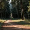 Убийство в Тоскане: Немецкая туристка найдена мертвой с признаками насилия