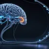 Испытания таблетки от болезни Альцгеймера: ежедневный прием может стать "святым Граалем"