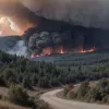 Германия: Лесные пожары в Тюрингии и Саксонии вышли из-под контроля – худшие за десятилетия