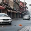 Шокирующая жестокость в Китае: Водитель перевозил живых рыб на капоте, прохожие издевались над ними