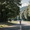 Водитель крикнул на 13-летнего велосипедиста во Фрайбурге, подросток тяжело упал