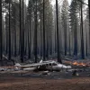 Авиакатастрофа в Австрии: Разбился самолет из Германии, погибли четыре человека