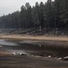 В Германии неизвестные развели костер за магазином: приехали полиция и пожарные