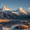Роланд Кох о Далай-ламе: Какие уроки может вынести канцлер к 90-летию духовного лидера