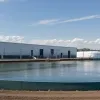 Крупнейшая в Европе креветочная ферма в Германии объявила о банкротстве