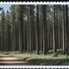 Канцлер ФРГ Мерц раскритиковал фон дер Ляйен из-за "лесного" закона ЕС: требует снизить бюрократию