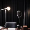 Экс-глава "Зеленых" Рикарда Ланг: Подкаст Ронцхаймера о проблемах коалиции и влиянии ультраправых в Германии