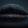 Тихая угроза: Устойчивые к антибиотикам бактерии убивают тысячи людей ежегодно
