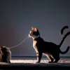 Секреты "мяу": Что на самом деле кошки хотят нам сказать?