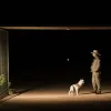 Ночной дозор в зоопарке Гельзенкирхена: охранник и его верный пес обеспечивают безопасность среди хищников