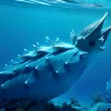 Осторожно, синие драконы! Ядовитые морские моллюски замечены в Средиземном море