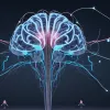 Спорт как естественный допинг для мозга: ученые объяснили, как тренировки улучшают интеллект и рост нервных клеток