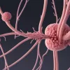 Вспышка опасной кишечной инфекции E. coli: Дети госпитализированы в Германии, есть жертвы в Бельгии
