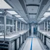 Ученые приблизились к воскрешению додо: новый прорыв в проекте по возвращению легендарной птицы