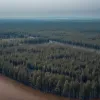 Наводнения в Италии и Франции: в Милане ищут пропавшую немецкую туристку, пожары в Анталье взяты под контроль