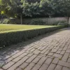 Штрафы за сорняки на тротуаре: кто отвечает за чистоту перед домом?