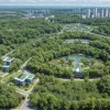Отец "города-губки" Концзянь Юй погиб в авиакатастрофе в Бразилии: мир скорбит по архитектору-визионеру