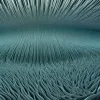 Мизофония: Почему чавканье и другие звуки вызывают приступы ярости и как с этим бороться