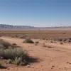 Польша ужесточила контроль на границе с Беларусью: число нелегальных пересечений и заявок на убежище резко сократилось