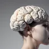 Новое исследование: Искусственные подсластители ускоряют старение мозга на 62%