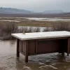 Бывший солдат Бундесвера обвиняется в серии изнасилований, одно из которых – в лагере помощи пострадавшим от наводнения в Артале
