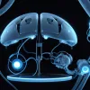 Neuralink Илона Маска получил $650 млн и ищет добровольцев для мозговых имплантатов