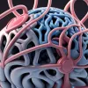 Ученые раскрыли причину инфарктов и инсультов у «здоровых» людей