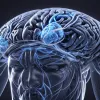 Наука подтверждает: Mind-Muscle Connection для роста мышц и эффективных тренировок