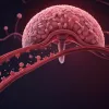 Сепсис – "тихий убийца": как распознать смертельную угрозу и предотвратить трагедию?