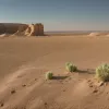 Шанс на мир или ловушка? План Трампа по Газе и ответ ХАМАС
