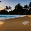 Маленький слоненок устроил себе пляжный отдых на Пхукете: видео растопило сердца