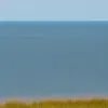 Редкое явление: Горбатый кит замечен в Балтийском море у острова Хиддензее