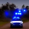 Штедезанд: 22-летний мужчина задержан за вождение в нетрезвом виде с проблесковым маячком